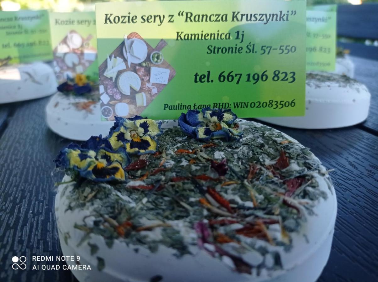Agroturystyka,, Ranczo Kruszynki" Stronie Śląskie Kültér fotó